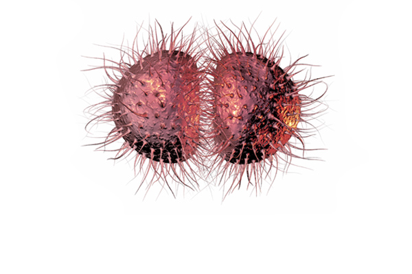 case study on meningitis